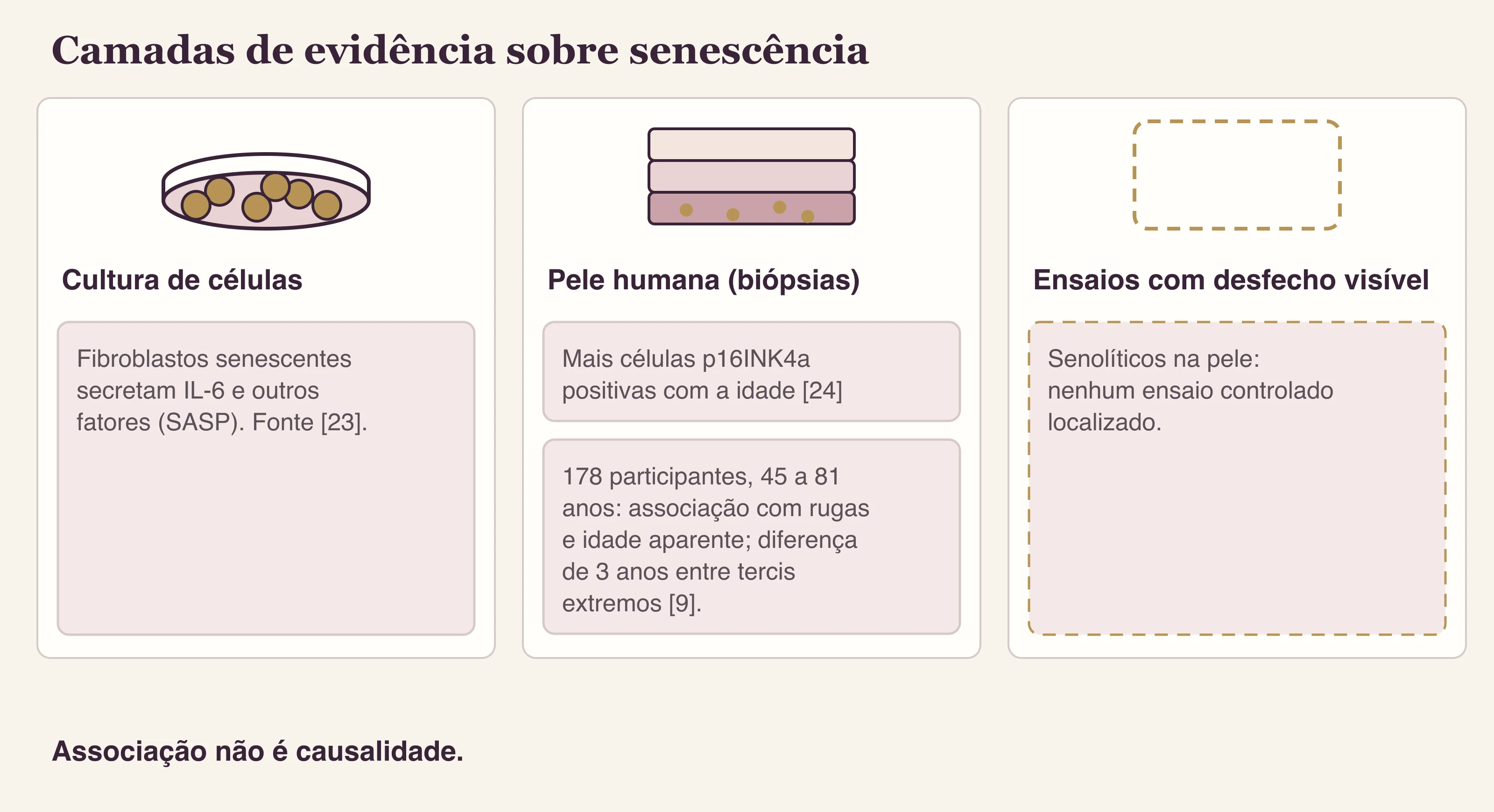 Infográfico em três colunas comparando evidência de cultura celular, biópsias de pele humana e ensaios clínicos sobre células senescentes.
